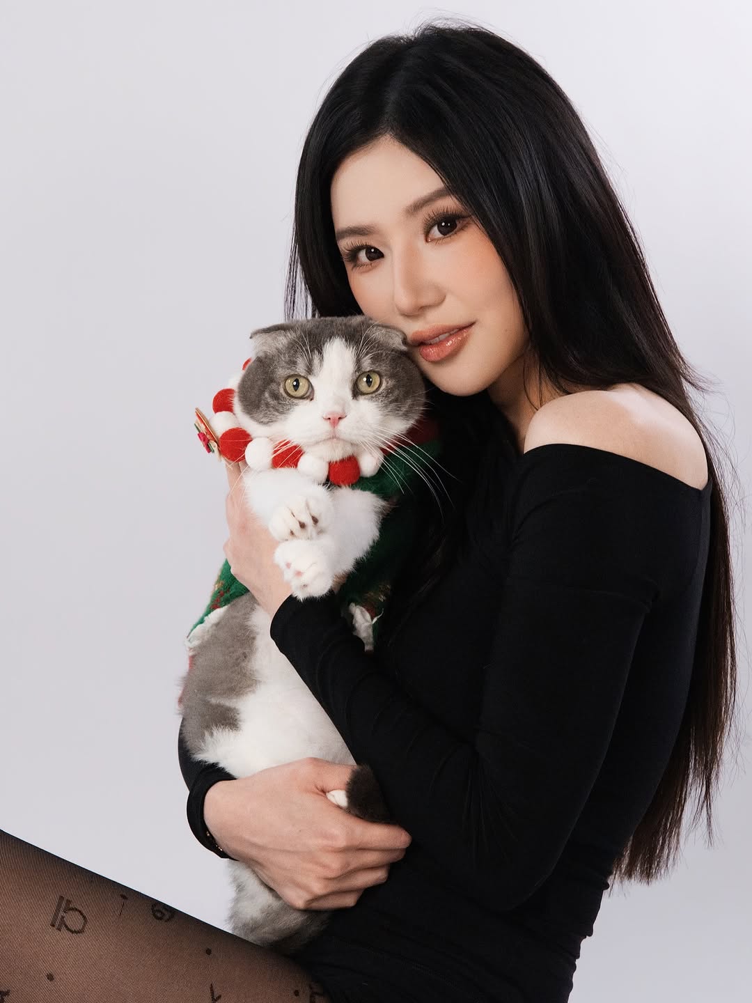 Festive Pet Portrait Glam